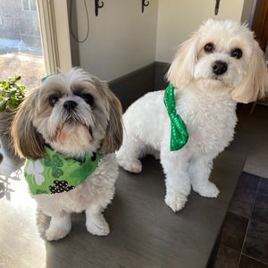 Meet your Posher, Kim